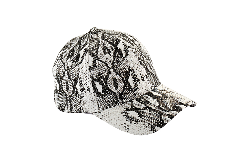淄博棒球帽FDR_8891